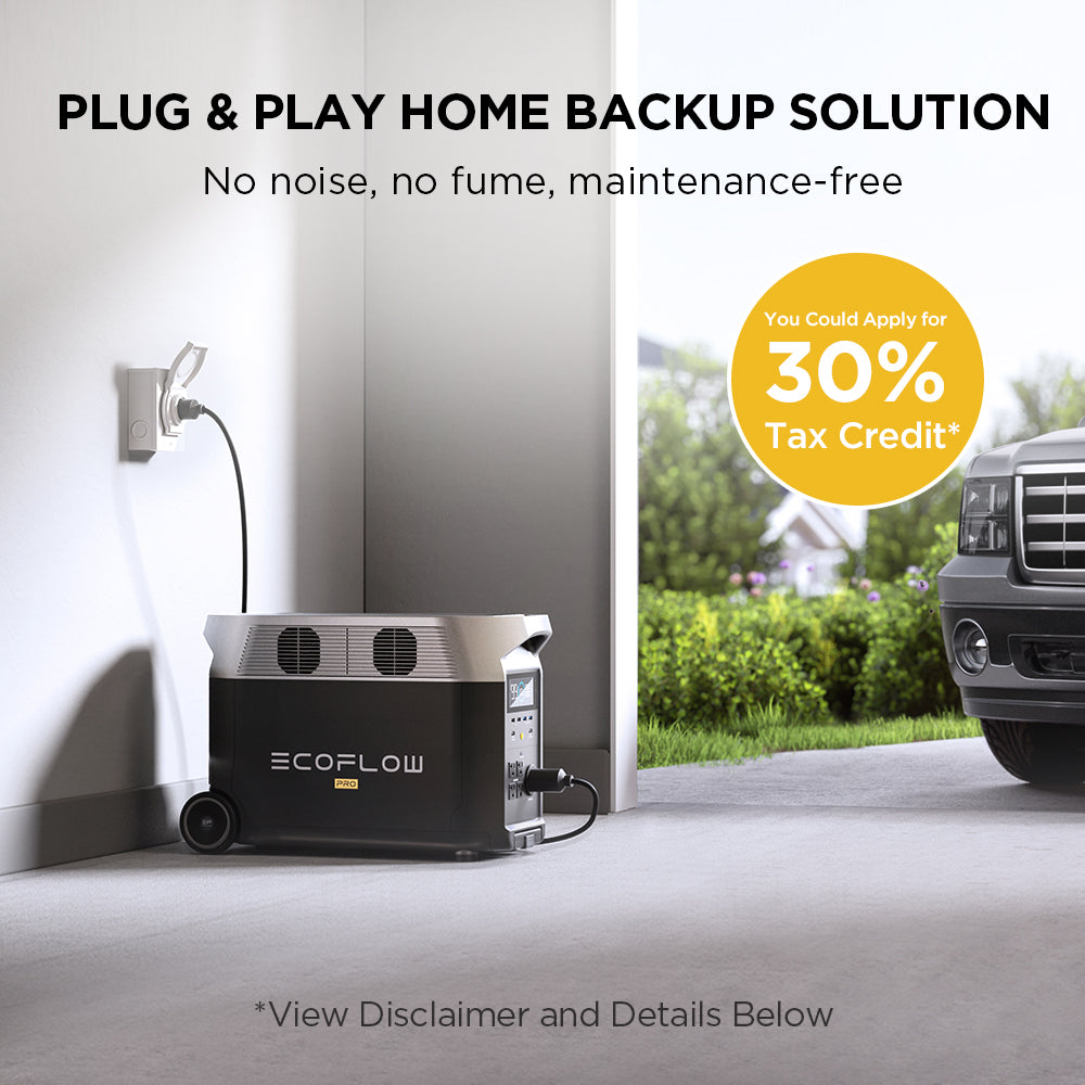 EcoFlow DELTA Pro + Remote Control Bundle