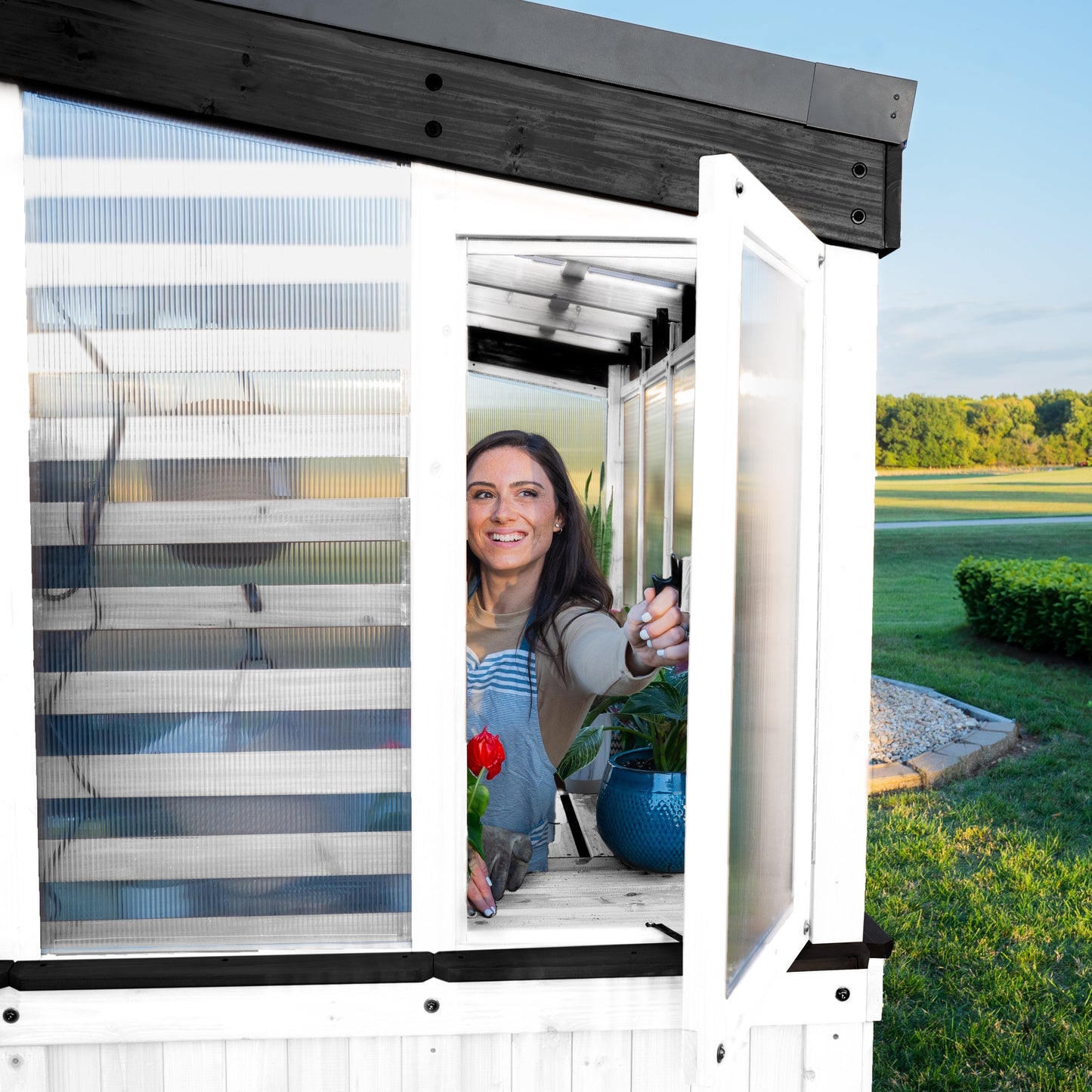 9x6 Willow Greenhouse -    Pre-Stained & Sealed White