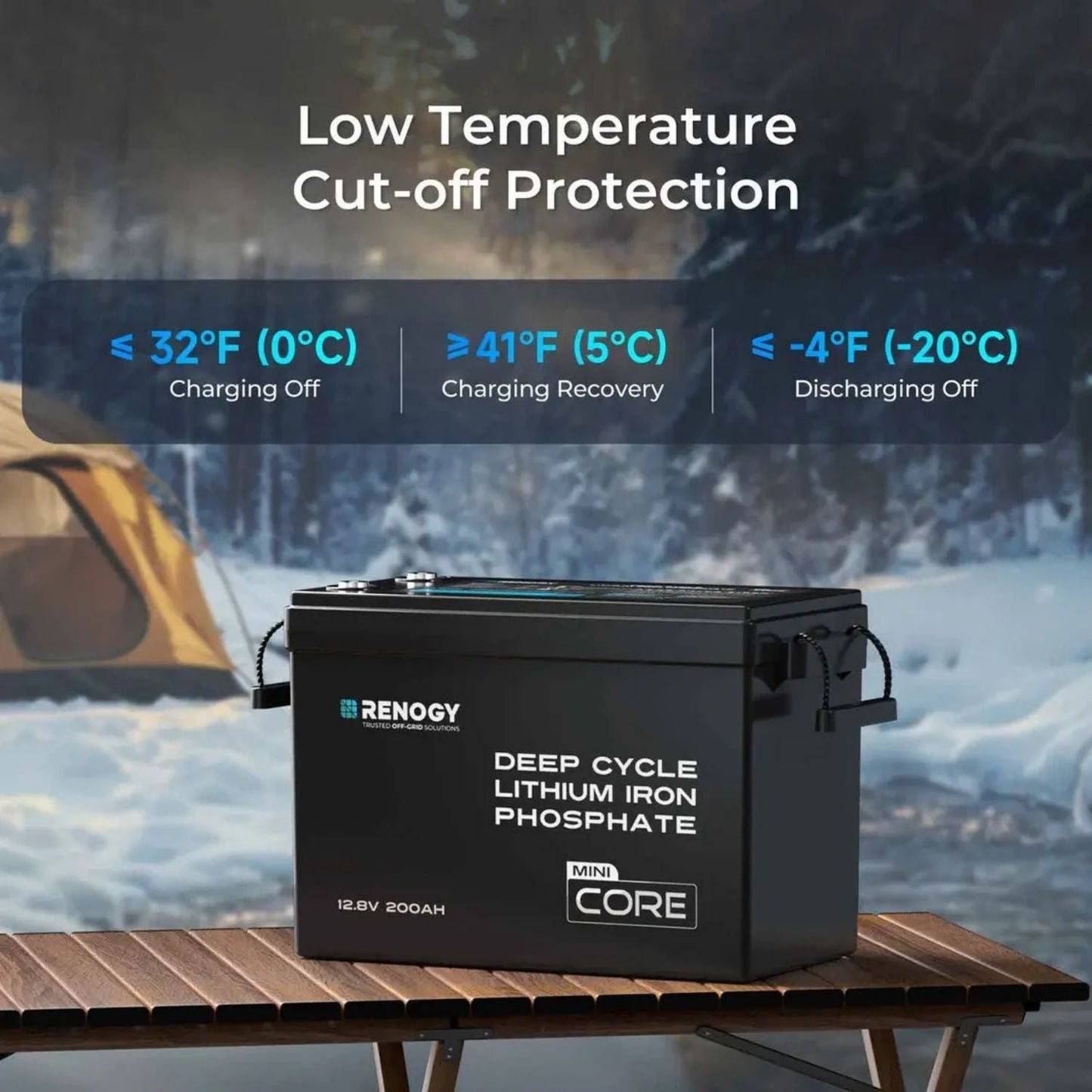 Renogy 12V 200Ah LiFePO4 Battery w/Low-Temperature Protection