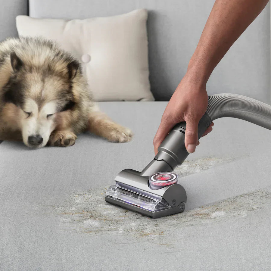 Dyson Ball Animal 3 Extra Upright Vacuum with 5 Accessories - Copper/Silver