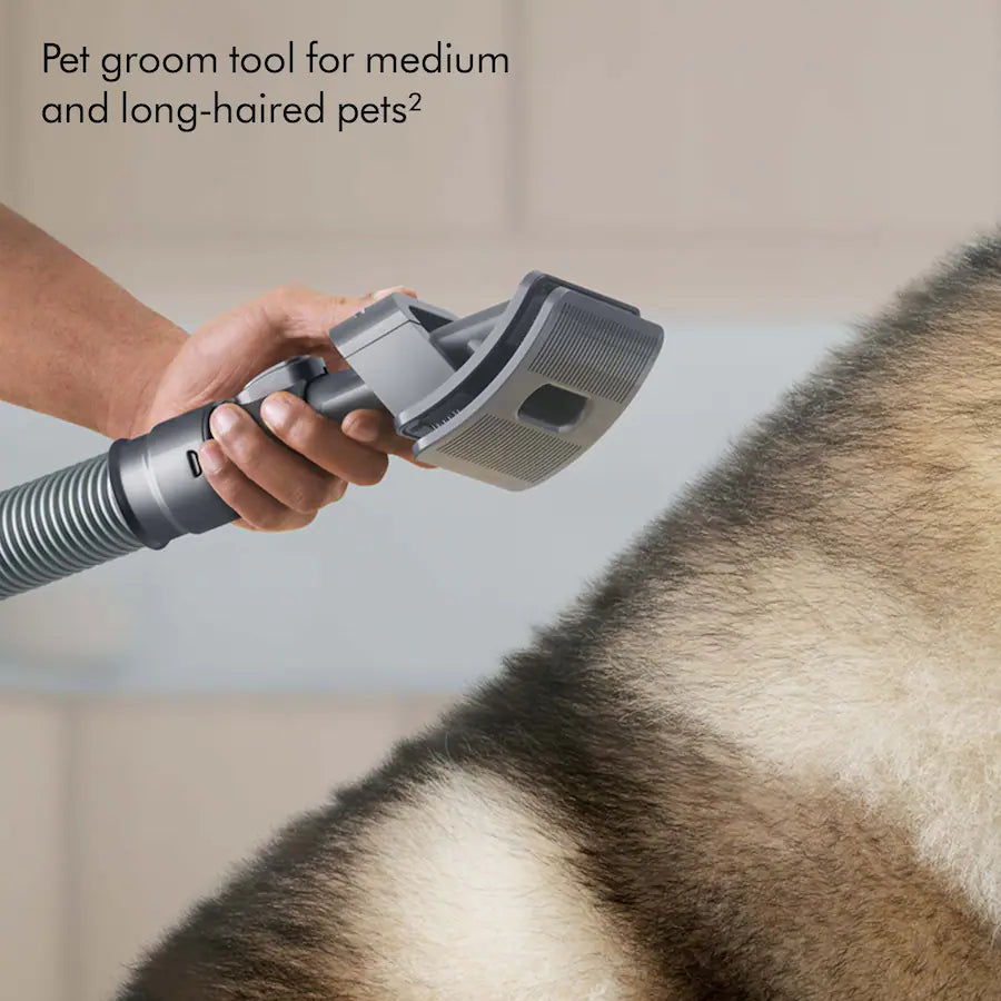 Dyson Ball Animal 3 Extra Upright Vacuum with 5 Accessories - Copper/Silver