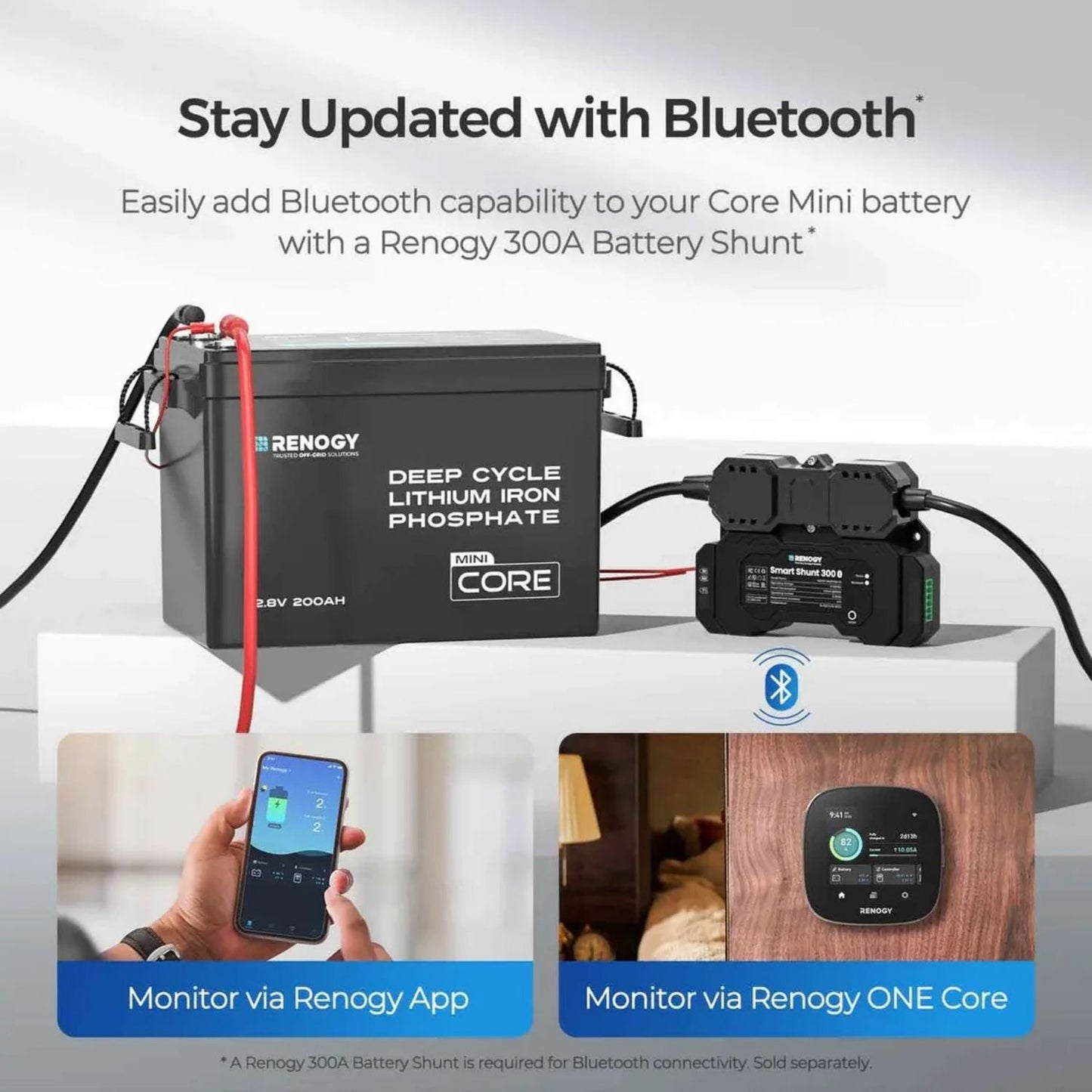 Renogy 12V 200Ah LiFePO4 Battery w/Low-Temperature Protection