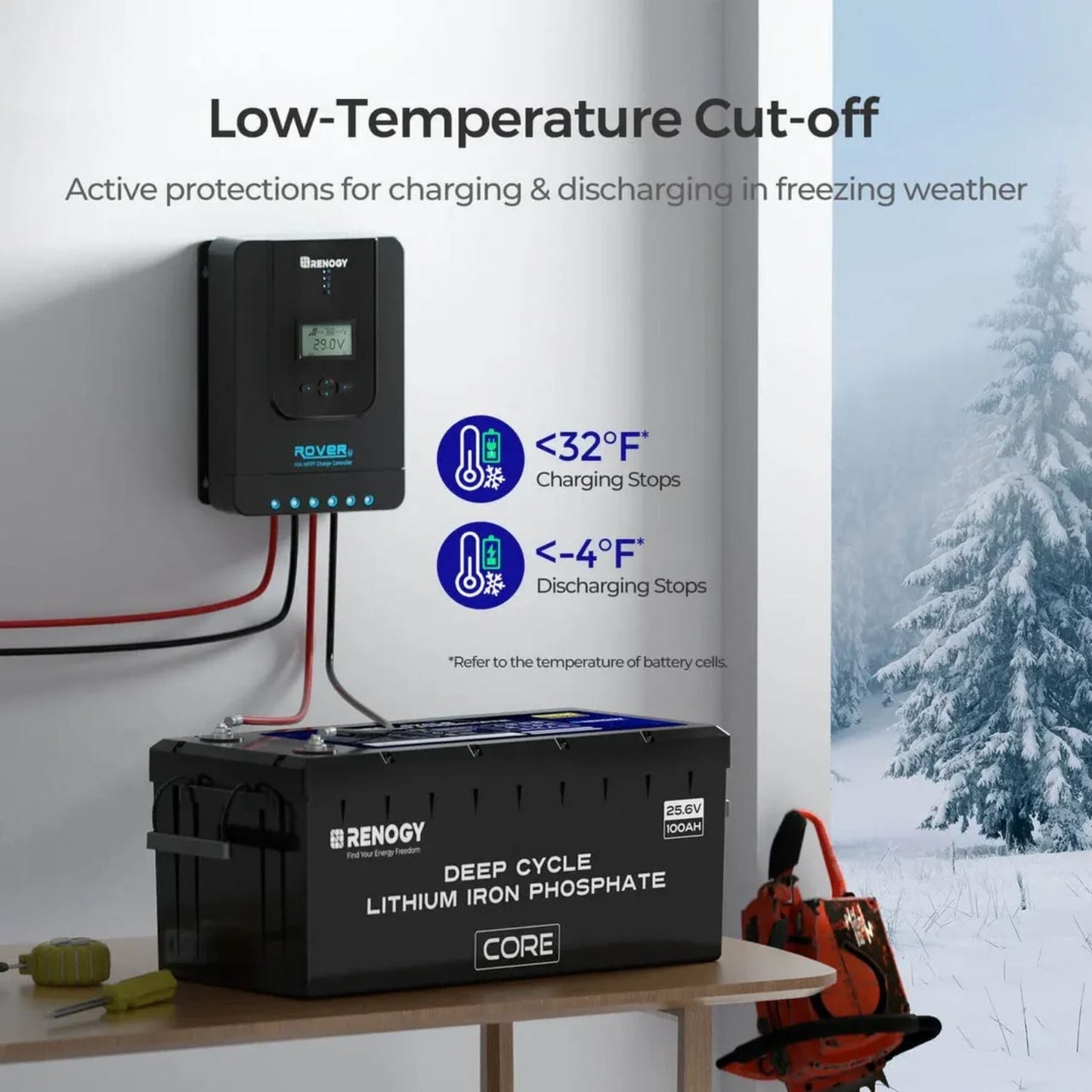 Renogy CORE Series 24V 100Ah Deep Cycle Lithium Iron Phosphate Battery