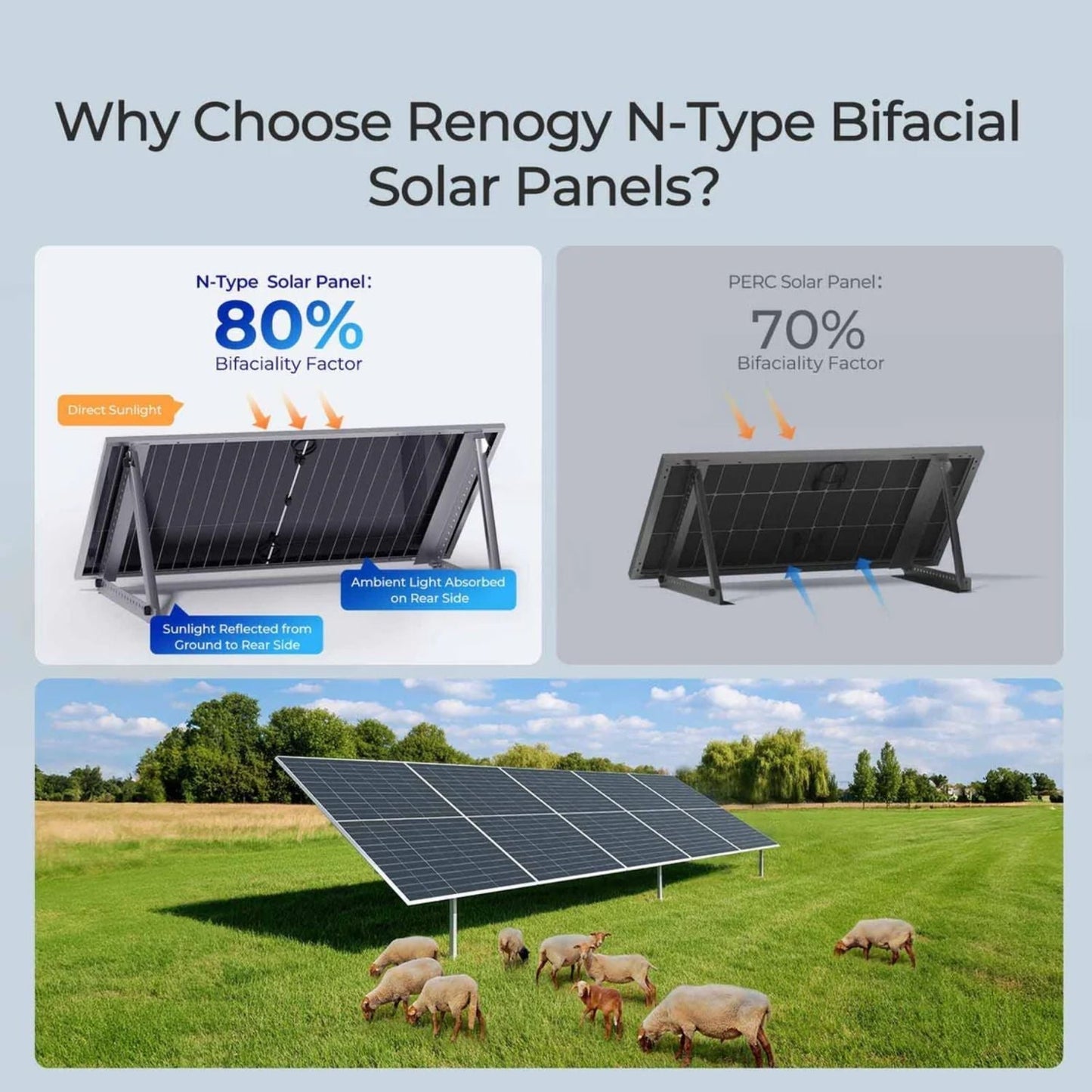 Renogy Bifacial 590W N-Type Monocrystalline Solar Panel