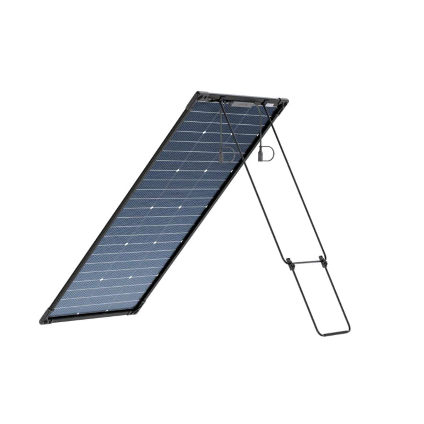 EcoFlow 125W Bifacial Modular Solar Panel | 2-Pack