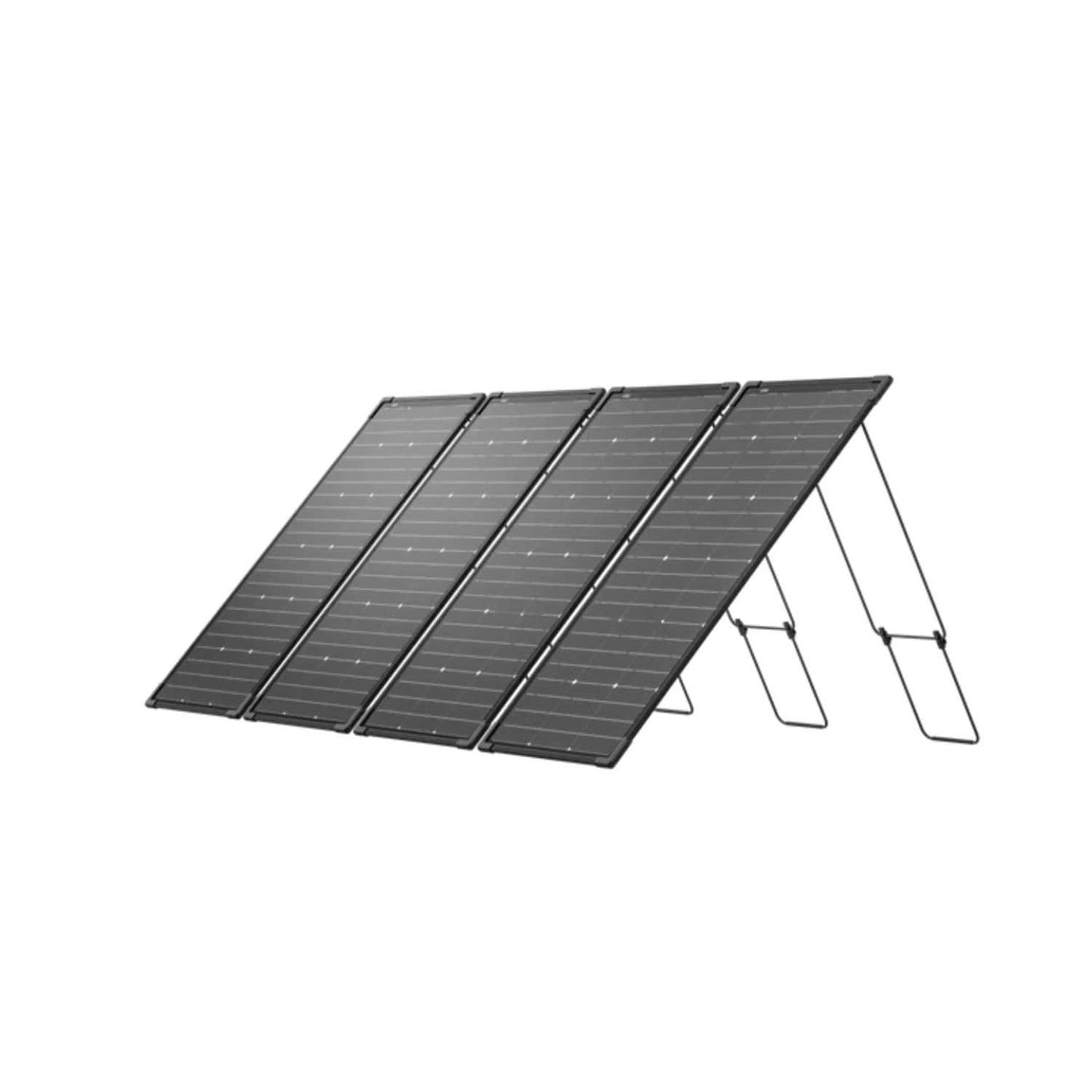 EcoFlow 125W Bifacial Modular Solar Panel | 2-Pack