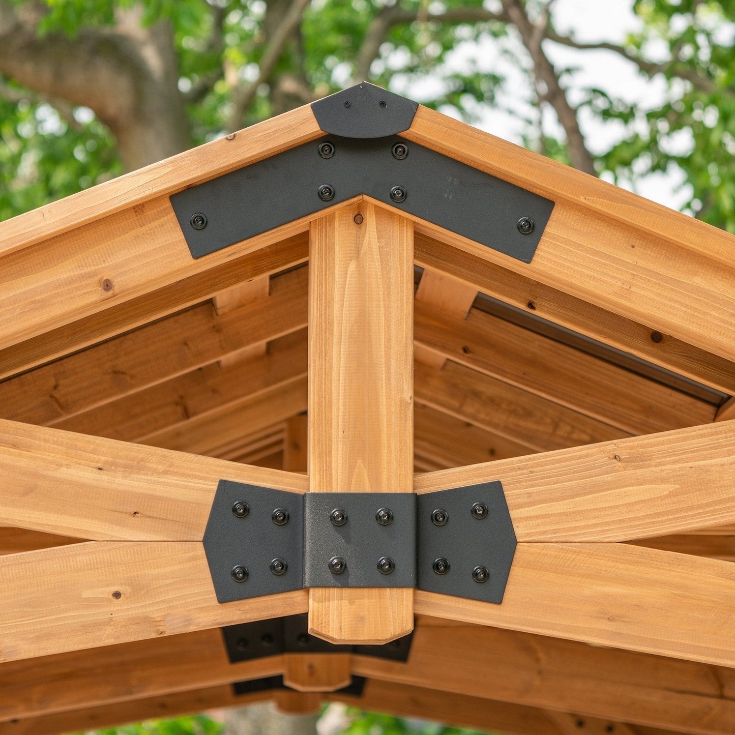 Norwood Carport/Gazebo 20x12