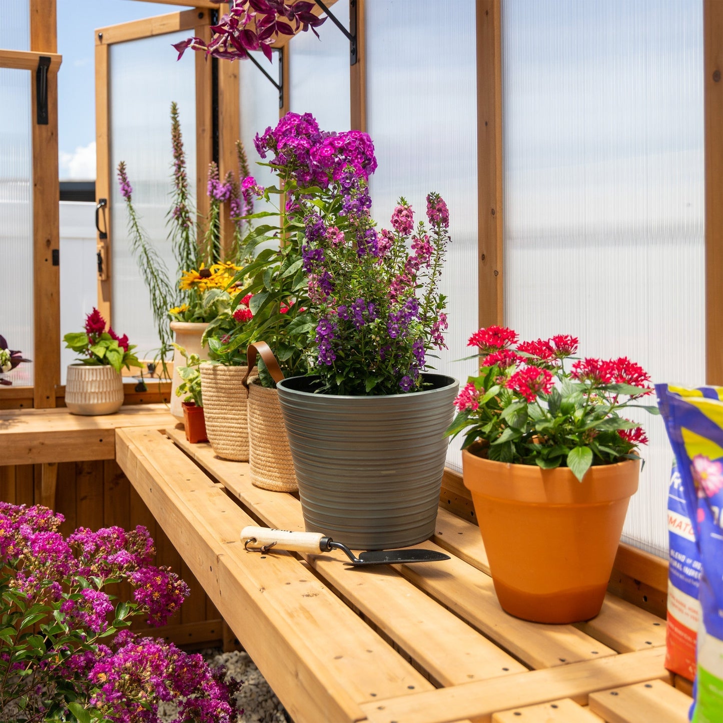 14.5x12 Savannah Greenhouse